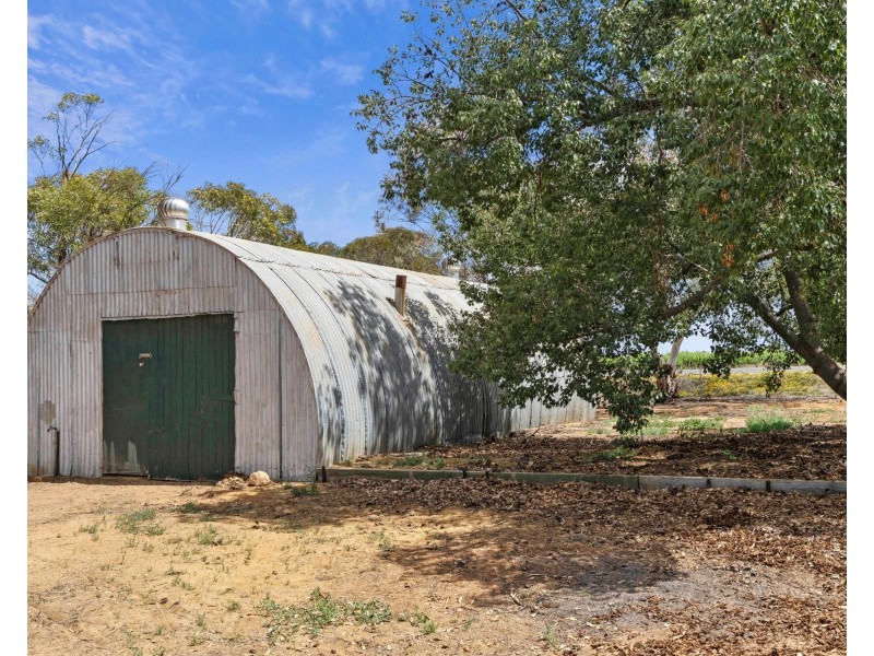 228 Fairweather Avenue, Loxton SA 5333