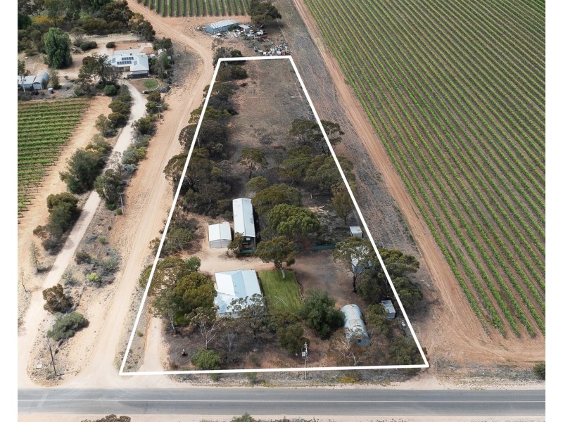 228 Fairweather Avenue, Loxton SA 5333