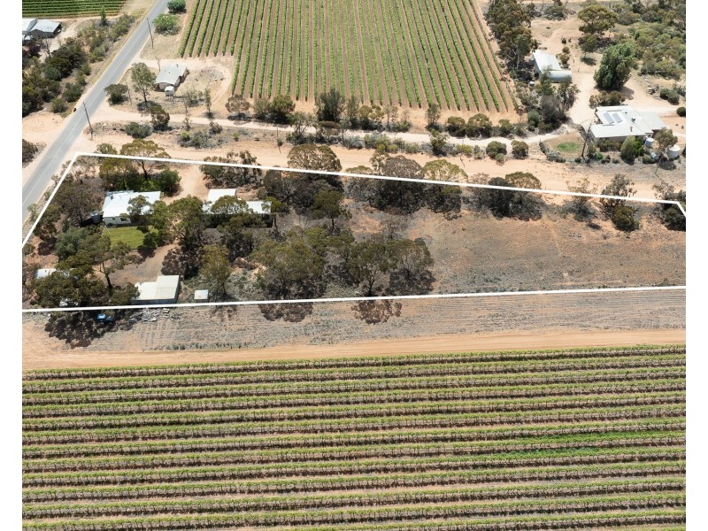 228 Fairweather Avenue, Loxton SA 5333