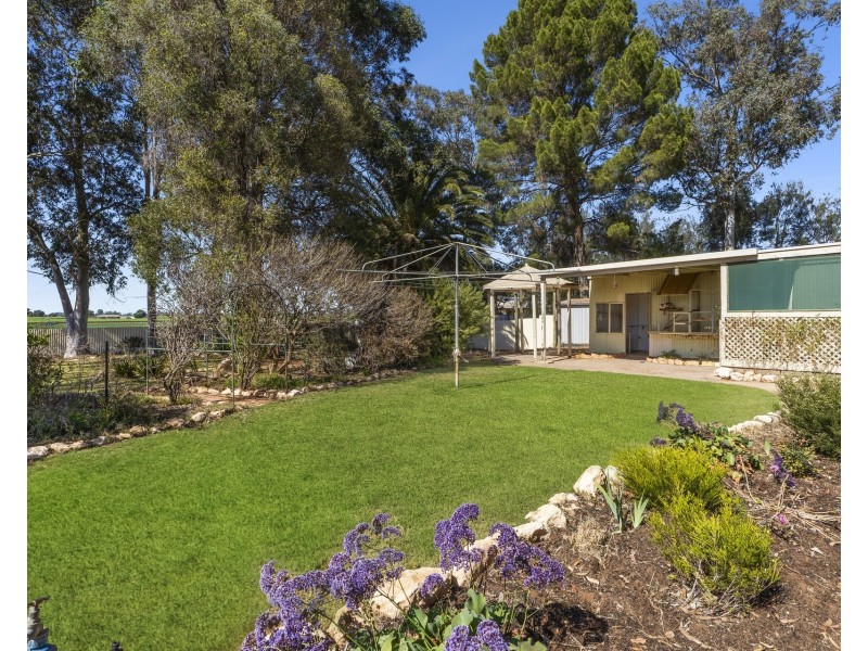 78 Derrick Road, Loxton SA 5333