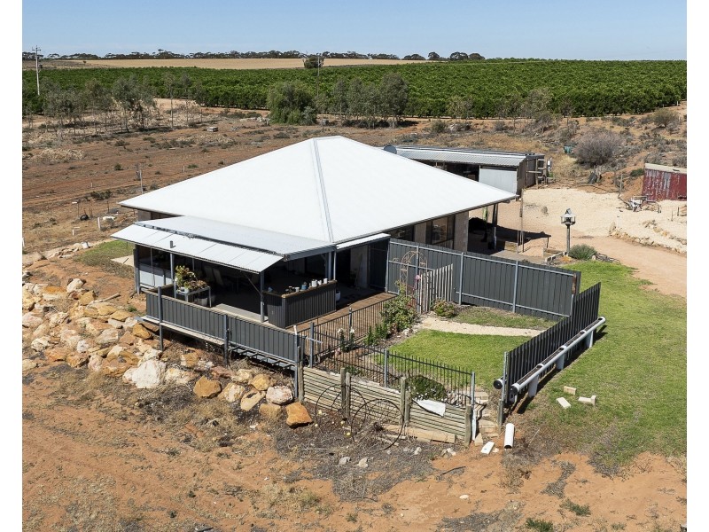 100 Loxton Drive, Moorook SA 5332