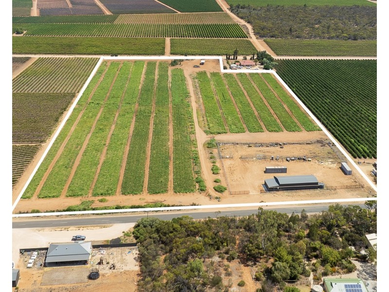 31  Rumball Road, Winkie SA 5343