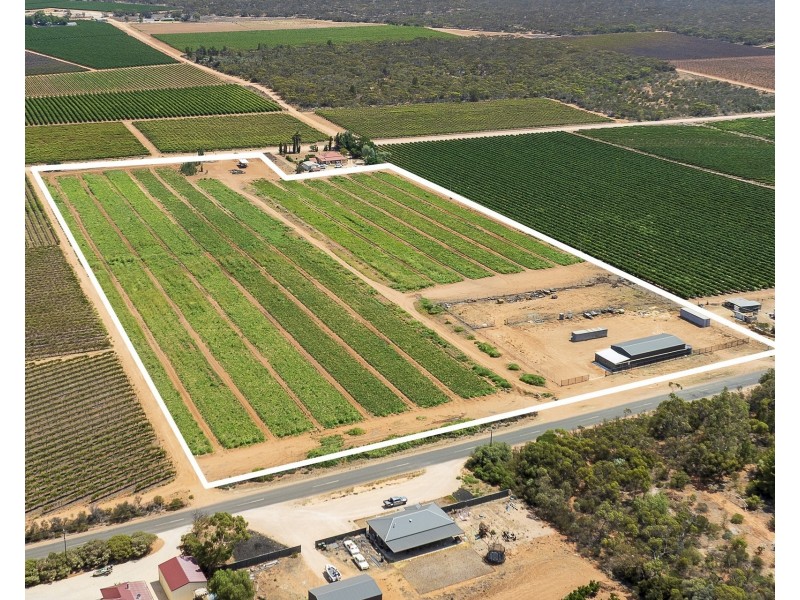 31  Rumball Road, Winkie SA 5343