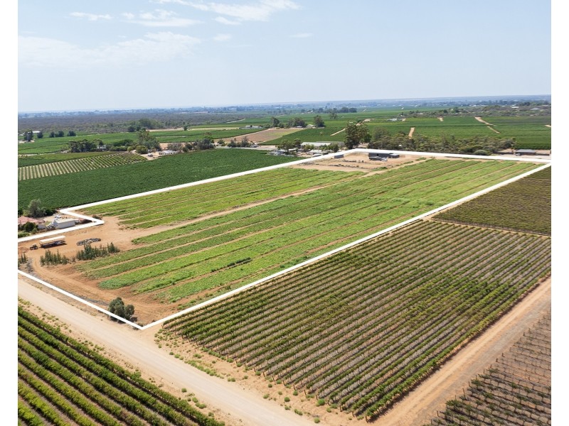 31  Rumball Road, Winkie SA 5343