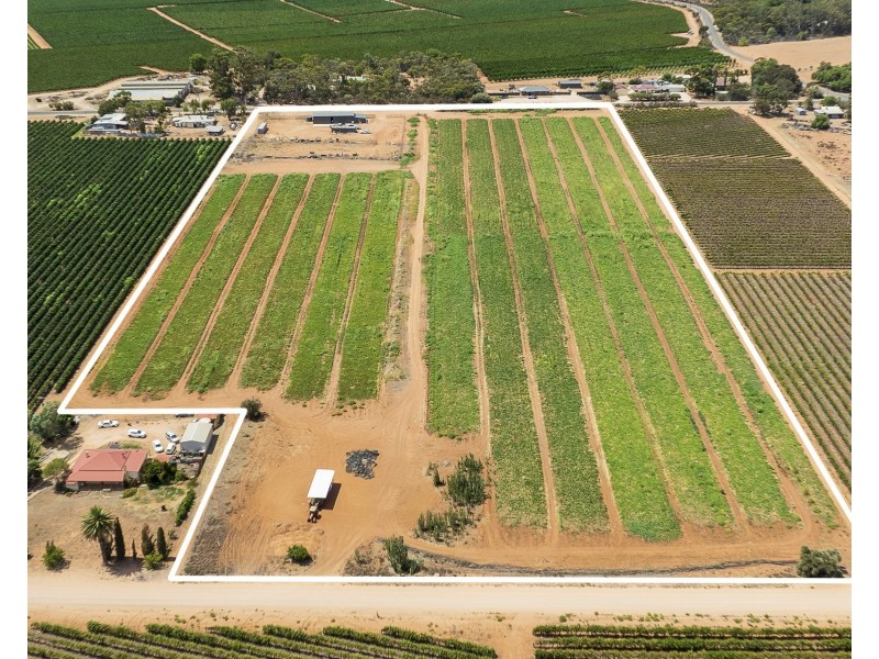 31  Rumball Road, Winkie SA 5343