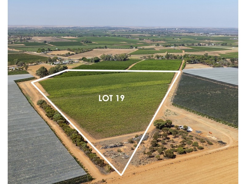 Lot 20,  Anderson Road, Loxton SA 5333