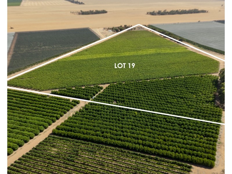 Lot 20,  Anderson Road, Loxton SA 5333