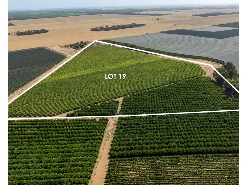 Lot 20,  Anderson Road, Loxton SA 5333