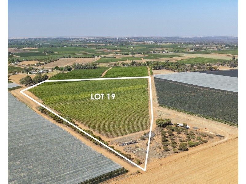Lot 20,  Anderson Road, Loxton SA 5333