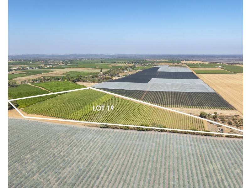 Lot 20,  Anderson Road, Loxton SA 5333