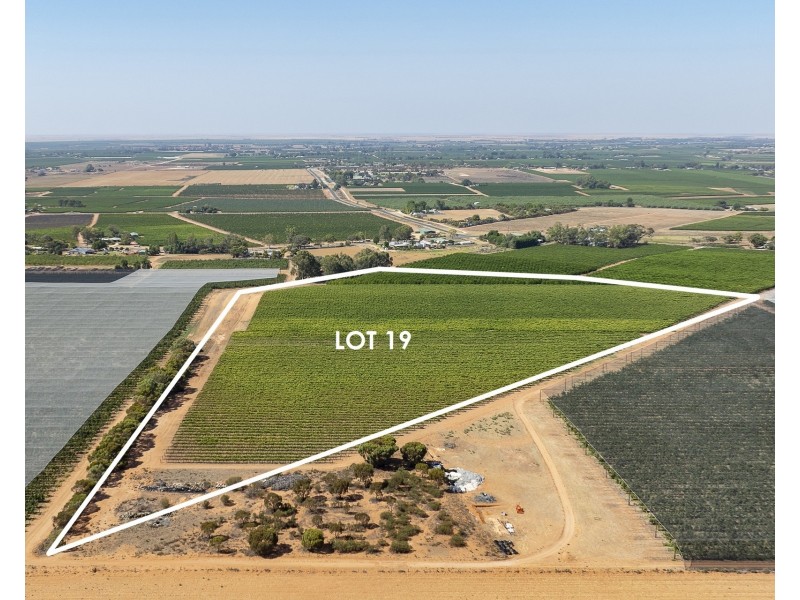 Lot 20,  Anderson Road, Loxton SA 5333