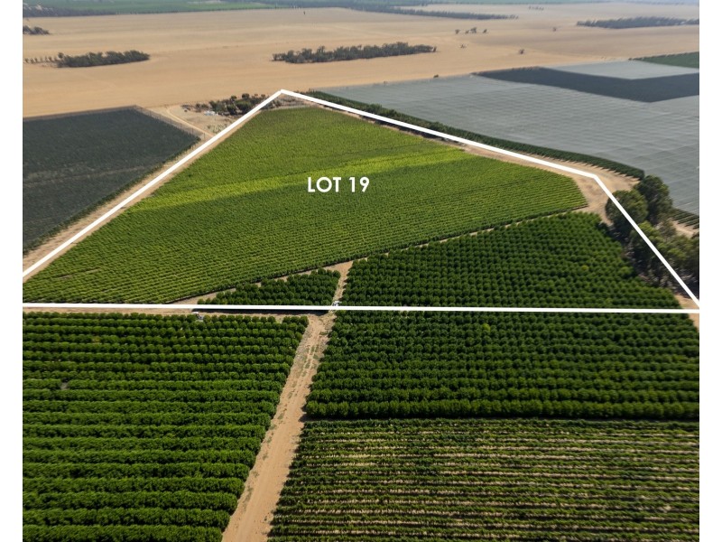 Lot 20,  Anderson Road, Loxton SA 5333