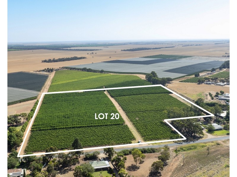 Lot 20,  Anderson Road, Loxton SA 5333