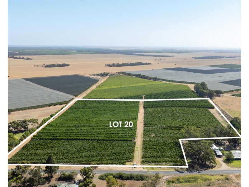 Lot 20,  Anderson Road, Loxton SA 5333