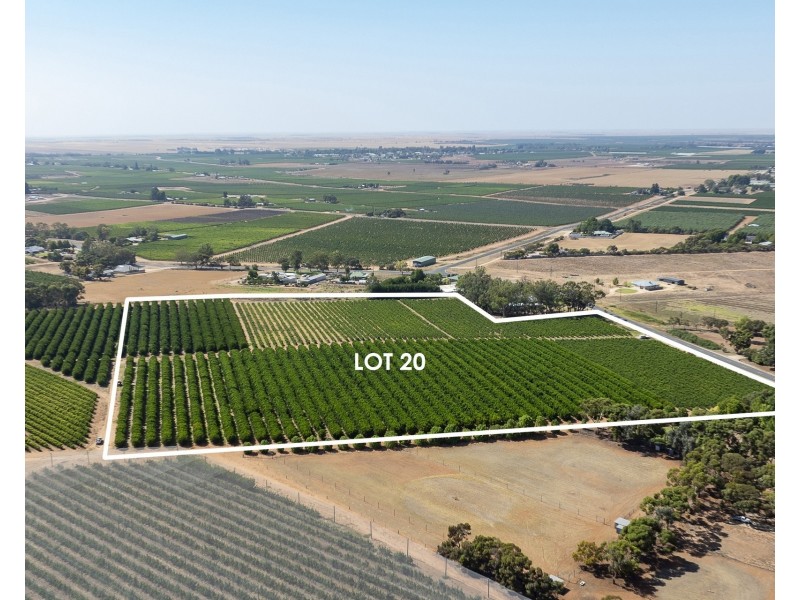 Lot 20,  Anderson Road, Loxton SA 5333