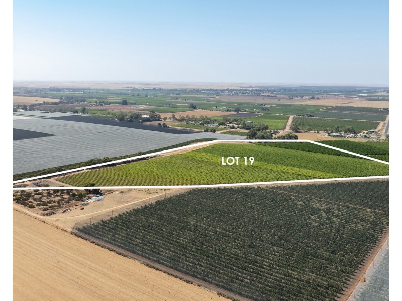Lot 20,  Anderson Road, Loxton SA 5333