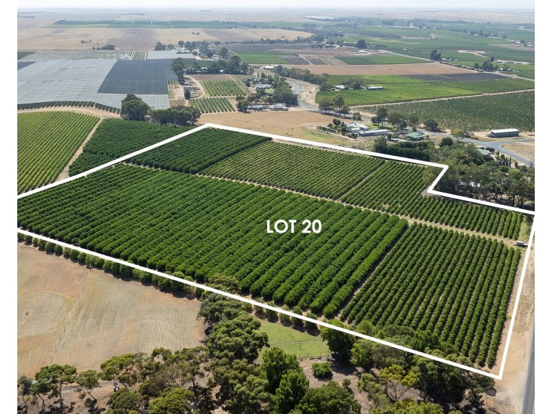 Lot 20,  Anderson Road, Loxton SA 5333