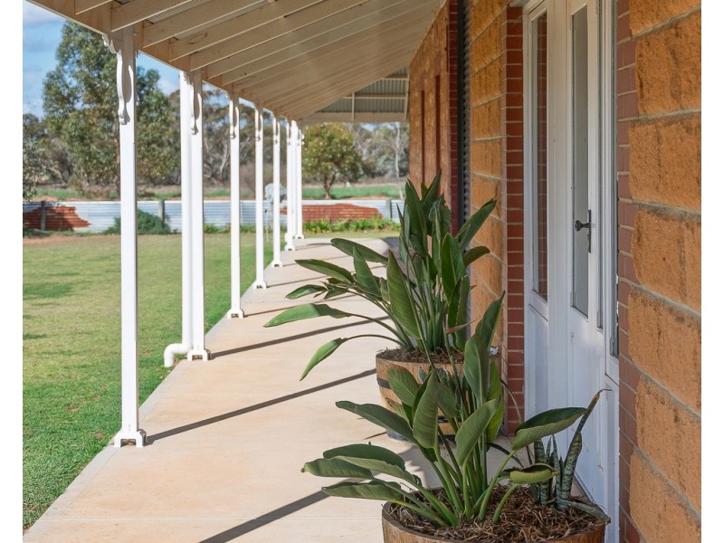 484 Mindarie Road, Loxton SA 5333