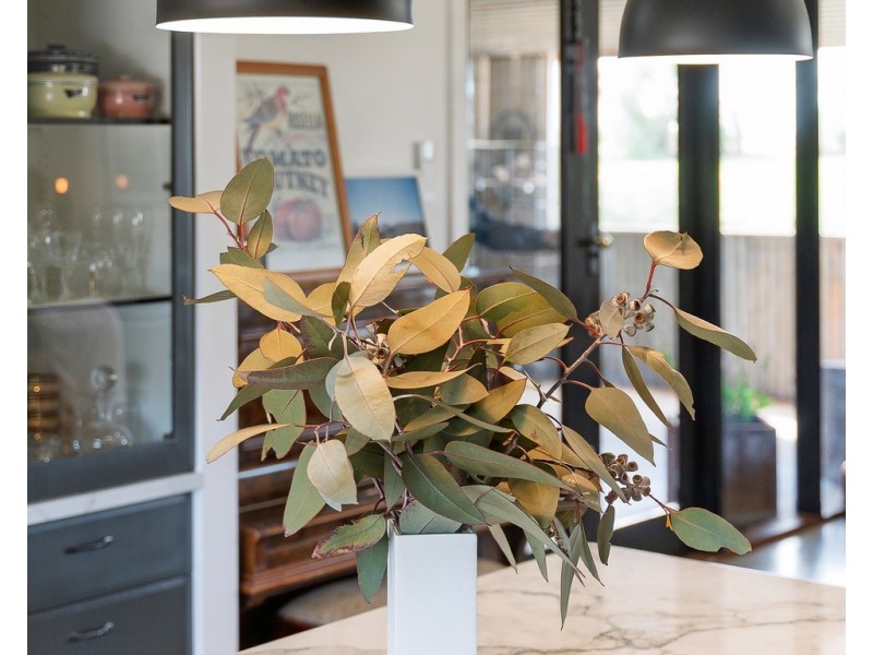 484 Mindarie Road, Loxton SA 5333