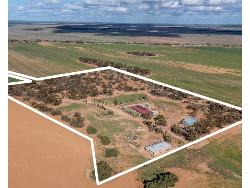 484 Mindarie Road, Loxton SA 5333