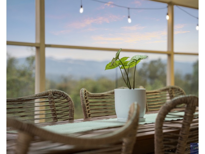 10 Shae Place, Bahrs Scrub QLD 4207