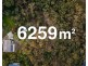 10 Shae Place, Bahrs Scrub QLD 4207