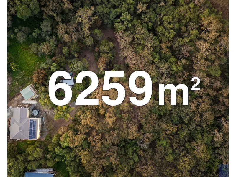 10 Shae Place, Bahrs Scrub QLD 4207