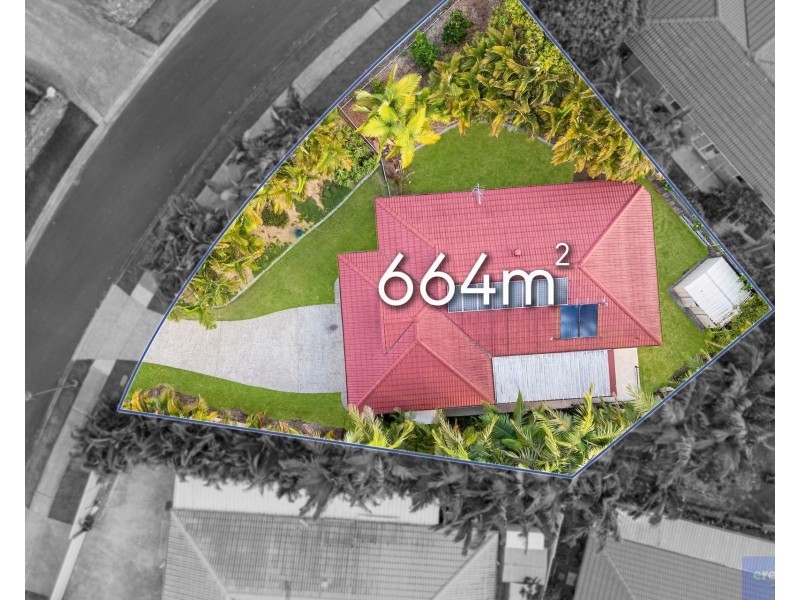 16 Tavuzzi Terrace, Edens Landing QLD 4207