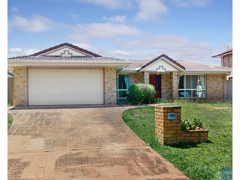 56 Palmwoods Crescent, Runcorn QLD 4113