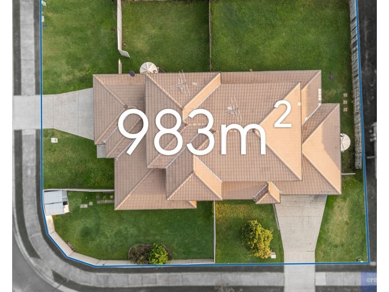 31 Ronayne Circle, One Mile QLD 4305