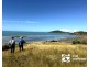 Quail Island, Stanage QLD 4702