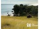 Quail Island, Stanage QLD 4702