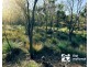 Quail Island, Stanage QLD 4702
