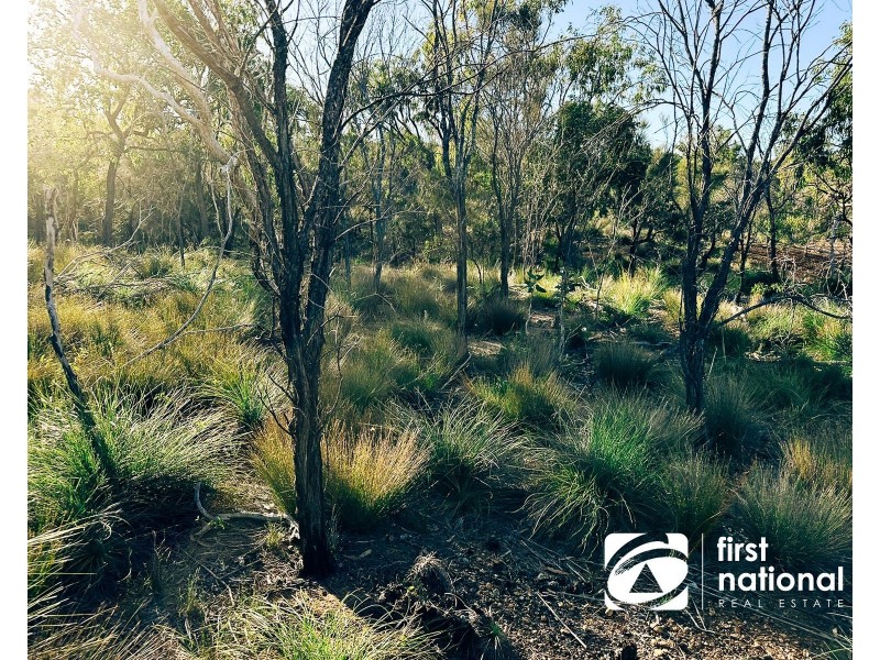 Quail Island, Stanage QLD 4702