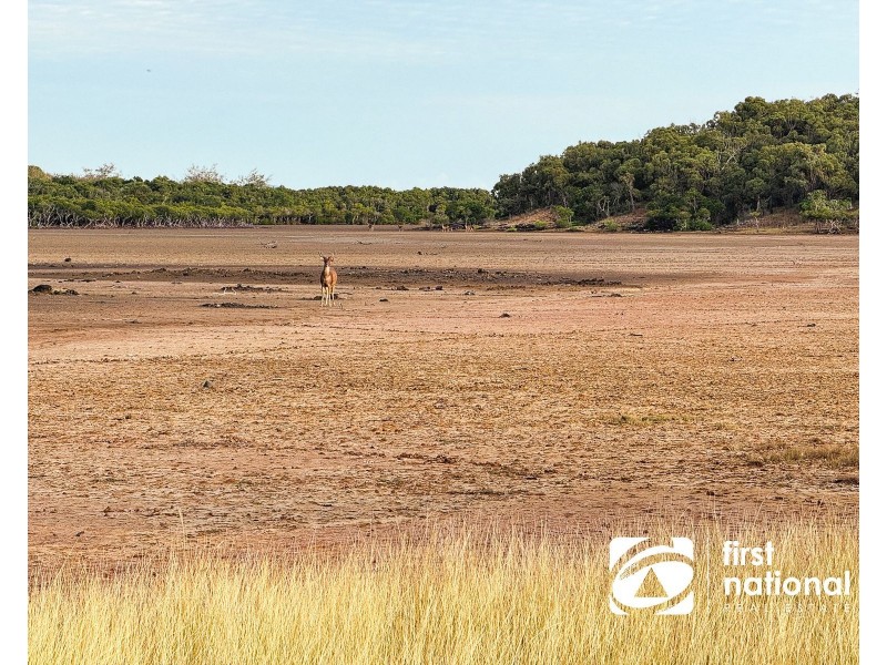 Quail Island, Stanage QLD 4702
