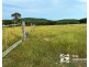 Quail Island, Stanage QLD 4702