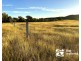 Quail Island, Stanage QLD 4702