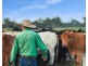 149 Smiths Crossing Road, Bucca QLD 4670