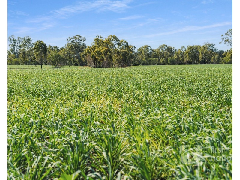 149 Smiths Crossing Road, Bucca QLD 4670
