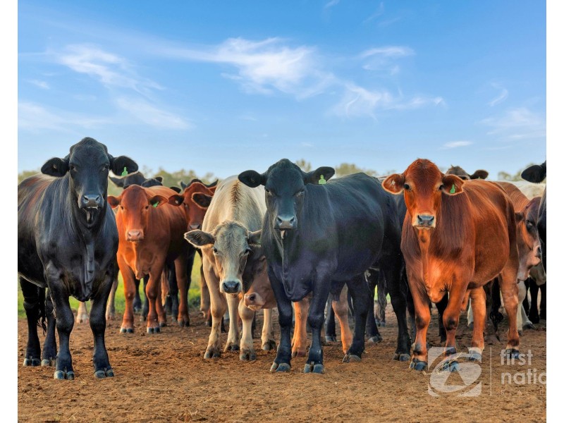149 Smiths Crossing Road, Bucca QLD 4670