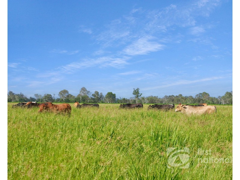149 Smiths Crossing Road, Bucca QLD 4670