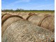149 Smiths Crossing Road, Bucca QLD 4670