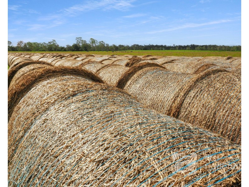 149 Smiths Crossing Road, Bucca QLD 4670