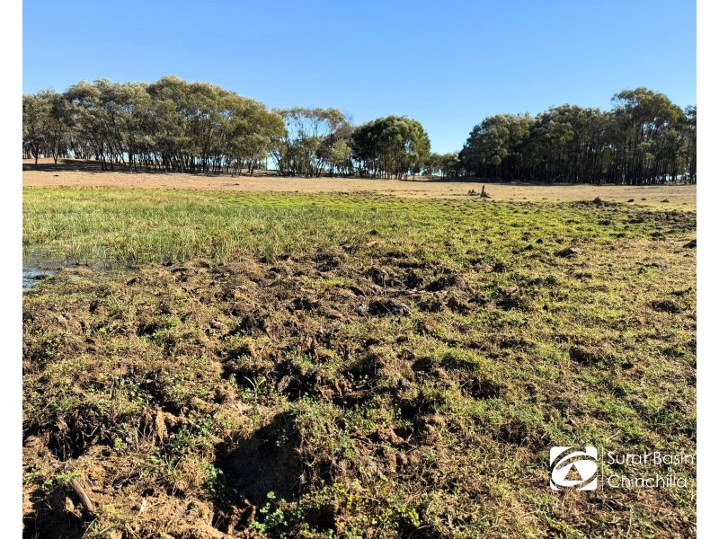 Rosewood Island, Broad Sound, St Lawrence QLD 4707