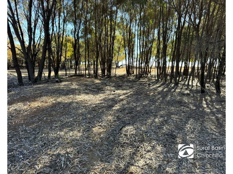 Rosewood Island, Broad Sound, St Lawrence QLD 4707