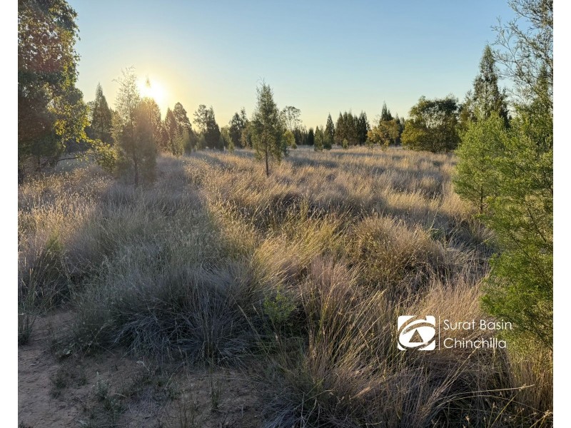 ‘LOGYARD’, 885 Auburn Road, Baking Board QLD 4413