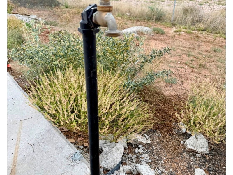 33 Wilson Street, Condamine QLD 4416