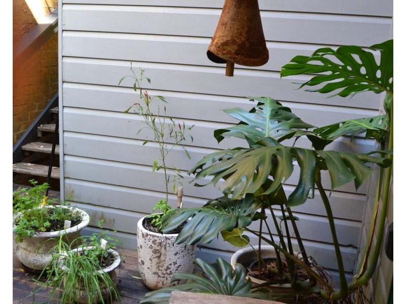 2/21 Cemetery Road, Byron Bay NSW 2481