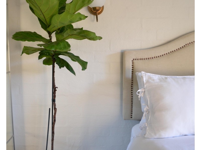 2/21 Cemetery Road, Byron Bay NSW 2481