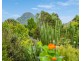 6 Hibiscus Place, Mullumbimby NSW 2482